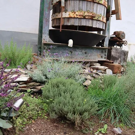 Winzerhaus Wehlener Sonnenuhr 펜션