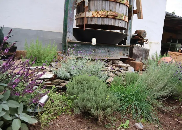 Winzerhaus Wehlener Sonnenuhr 펜션